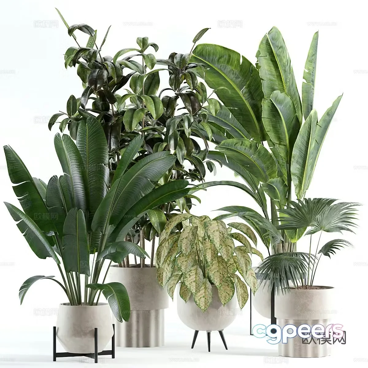 Modern green plant potted 3d model