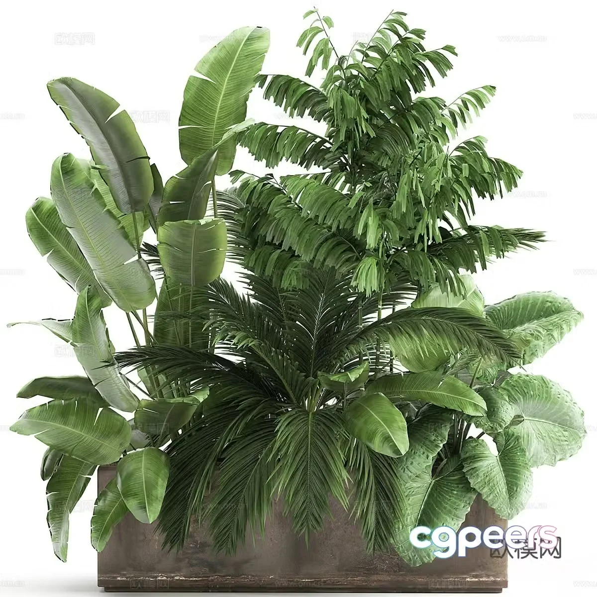 Modern tree pond flower bed green plant potted 3D model
