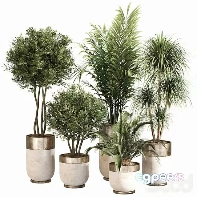 3ds Max Free – Indoor Plant Set 053