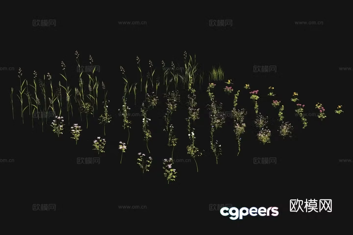 Flowers and plants Wild flowers Wild grass 3d model