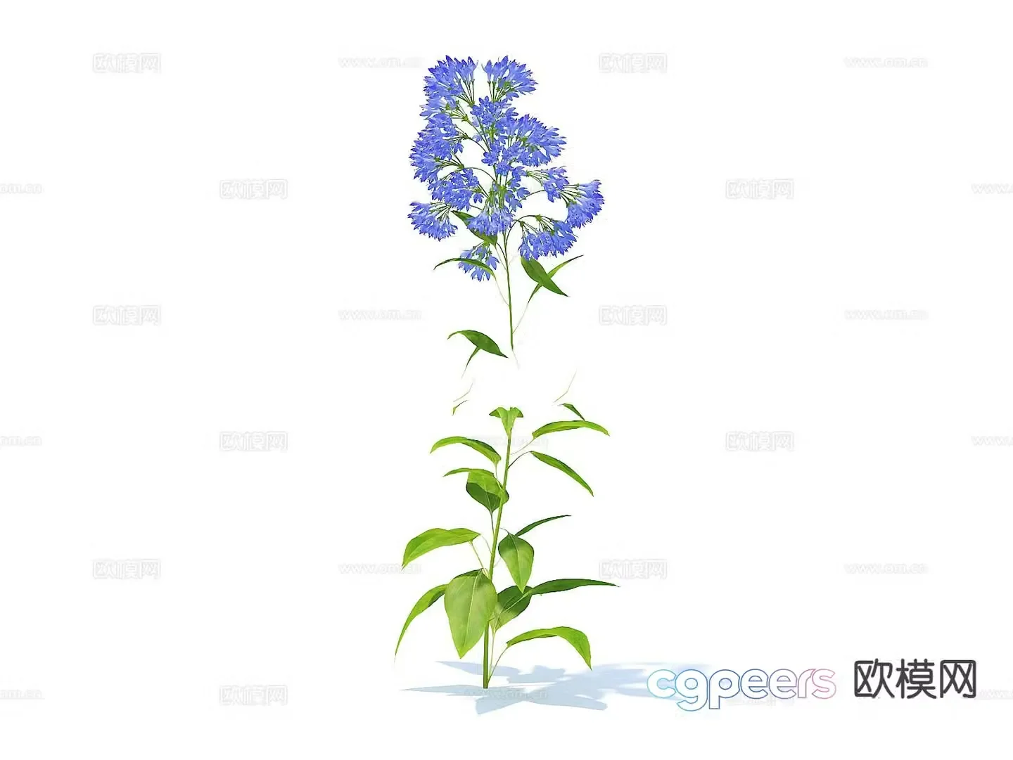 Flowers flowers plants green plants 3d model
