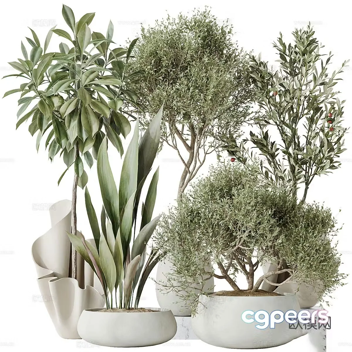 New Chinese style wasabi green plant potted 3D model
