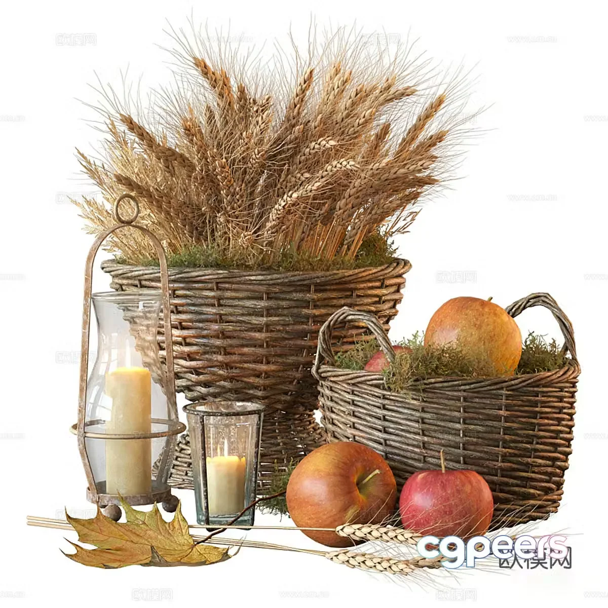 New Chinese Wasabi Fruit Apple Wheat Ears 3D Model