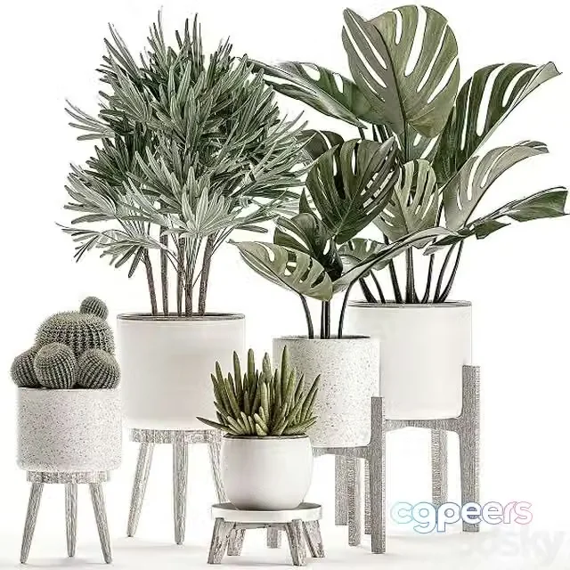 3ds Max Free – Collection of small plants in white pots Set 509