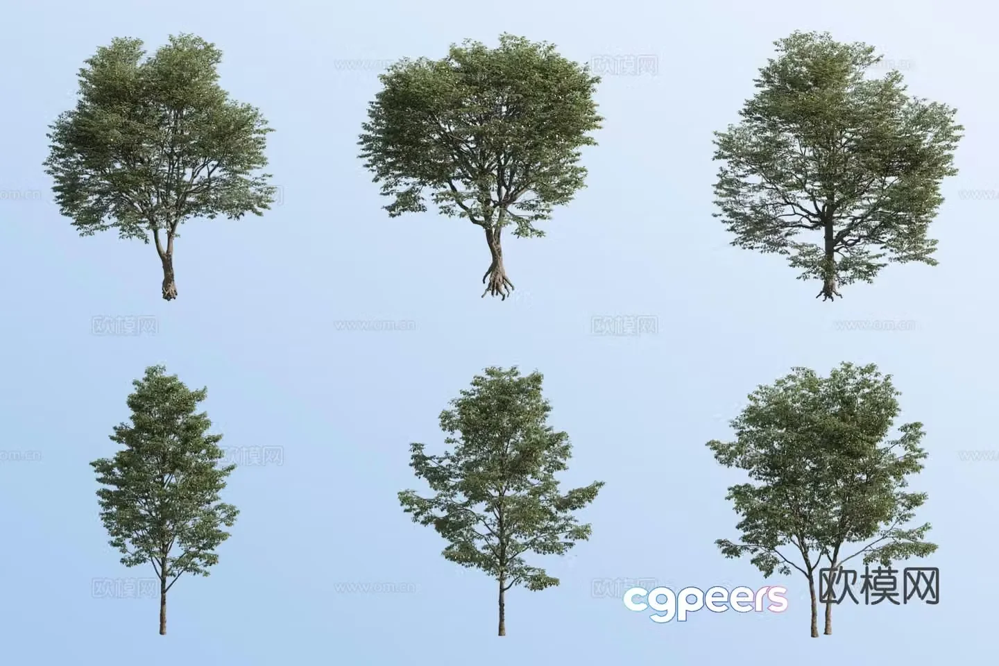 small tree landscape tree street tree 3d model