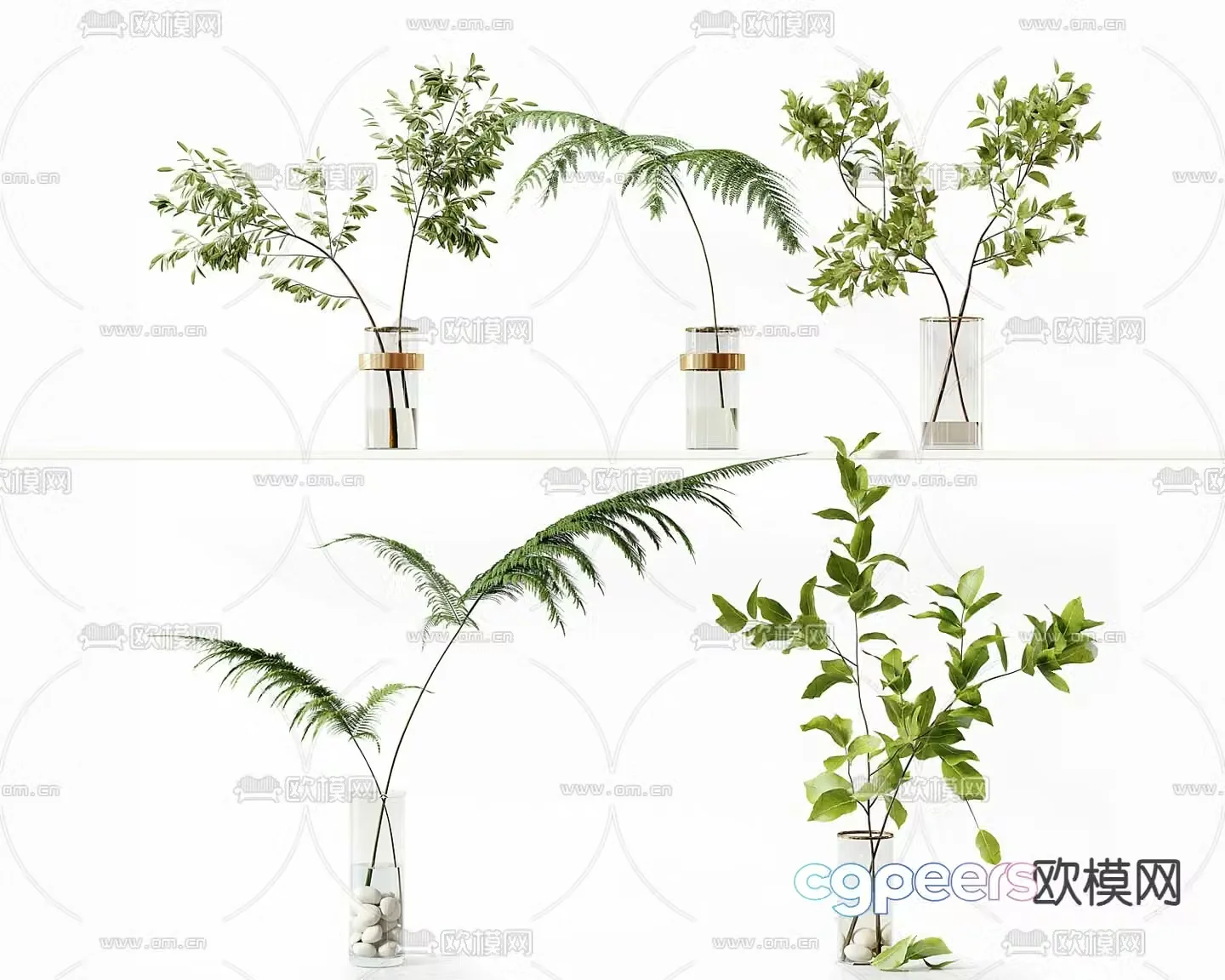 Modern aquatic plants glass potted plants 3D model