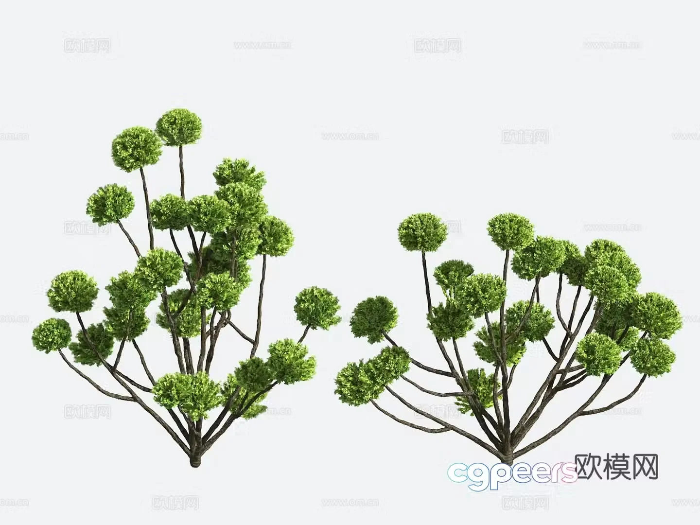 Shrub Modeling Tree Gardening 3d Model