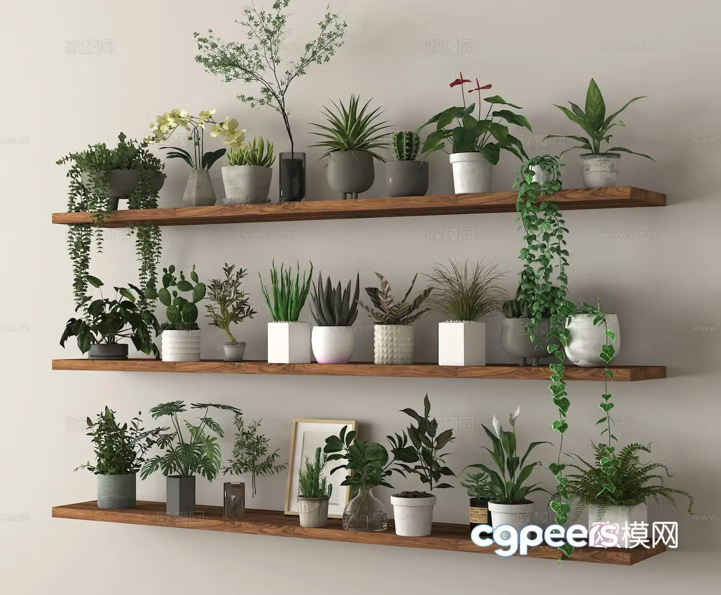 Potted plants Bonsai Green plants 3D model