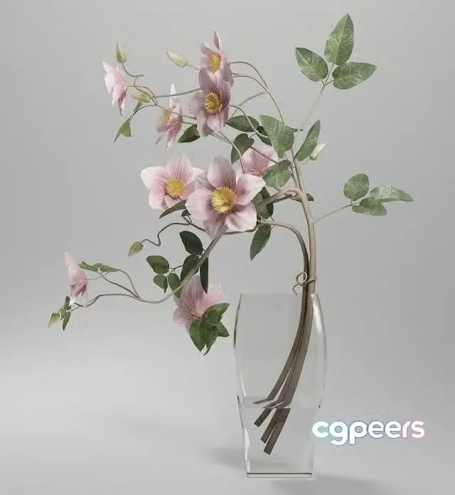 3ds Max Free – Vase Clematis Do