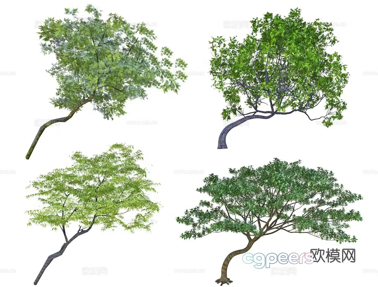Crooked Neck Tree Slanted Floating Tree Floating Branch Tree Slanted Crown Tree Modeling Tree Bend Rod Tree 3D Model
