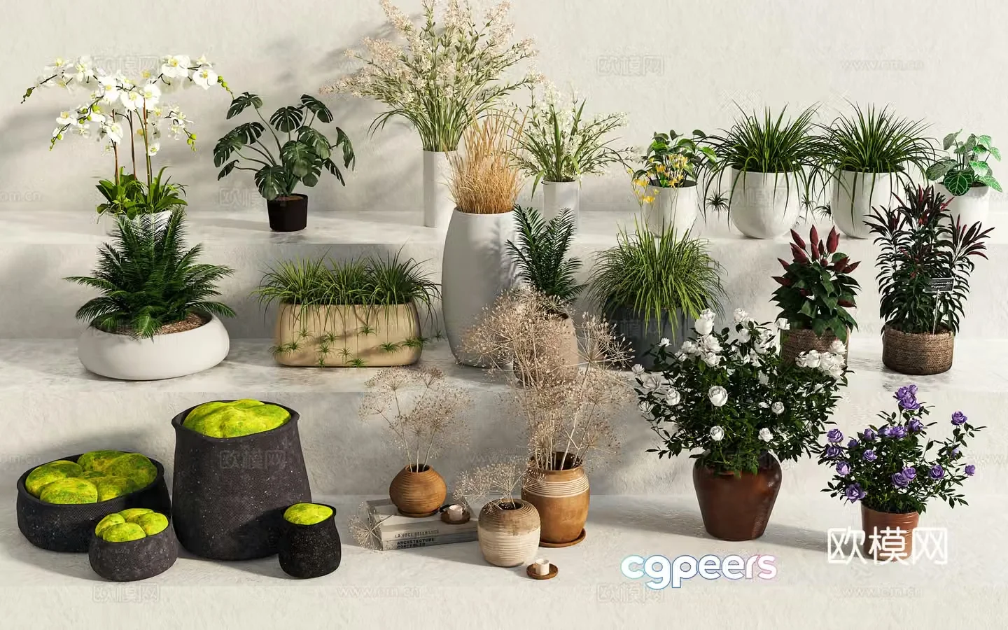 Green plants potted plants flowers steps flower bed 3d model