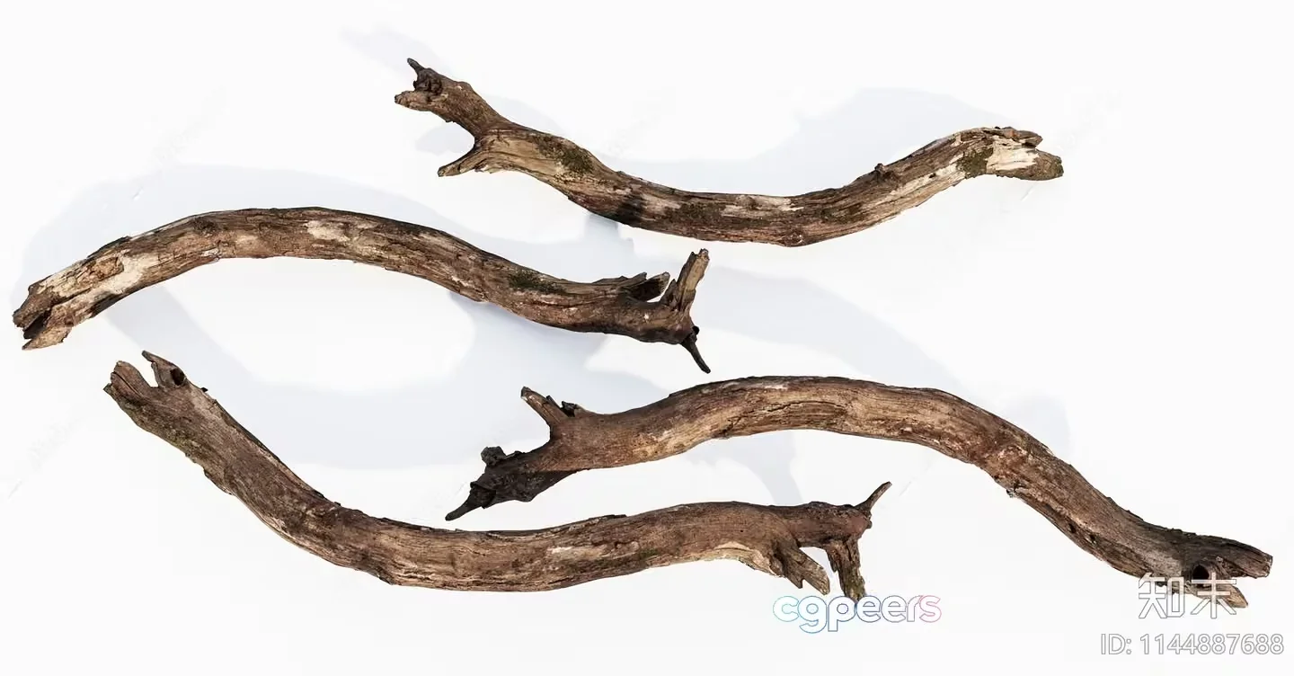 A Long Curved Piece Of Driftwood 3D Model – 17988 – VRAY Render