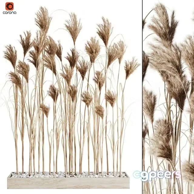3ds Max Free – A bunch of Pampas 7