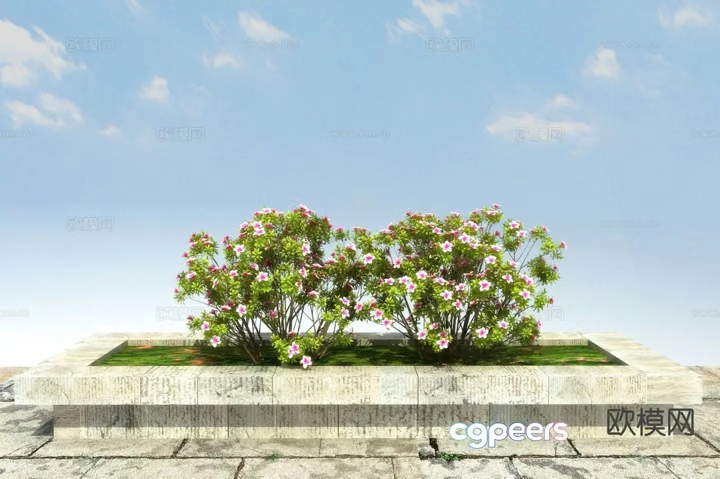 deciduous shrub rhododendron bush 3d model