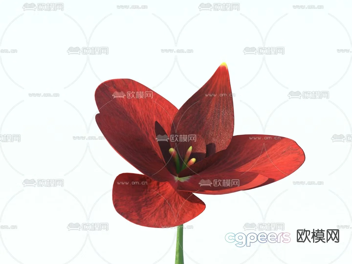 Flowers Wild Flowers 3d Model