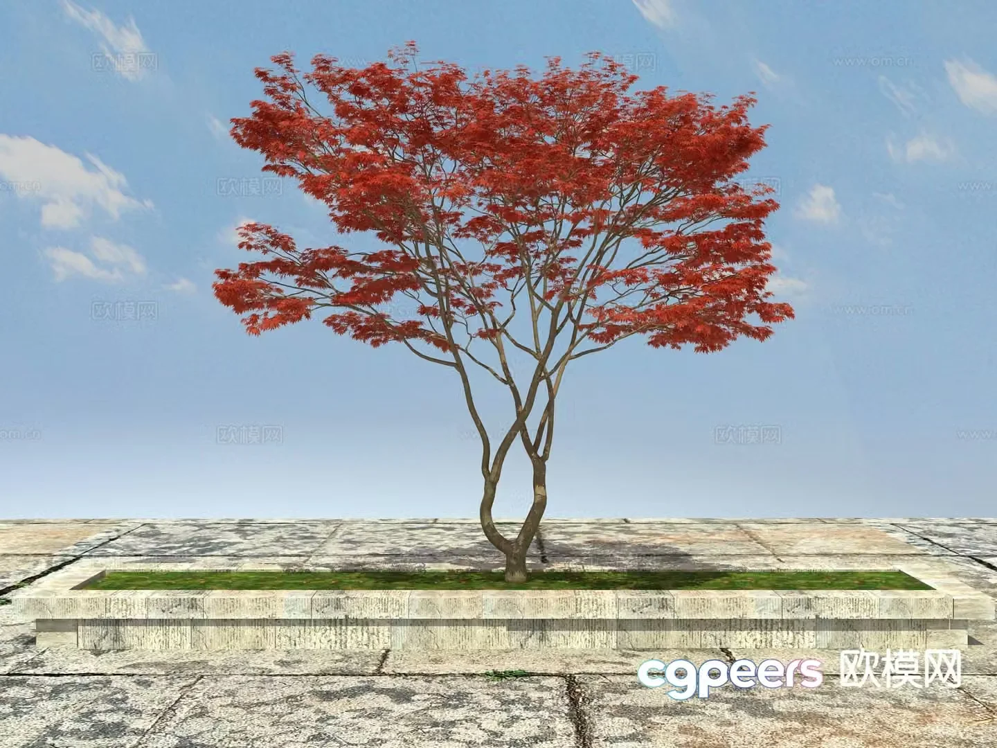 Ornamental plant red maple tree pond big tree 3d model