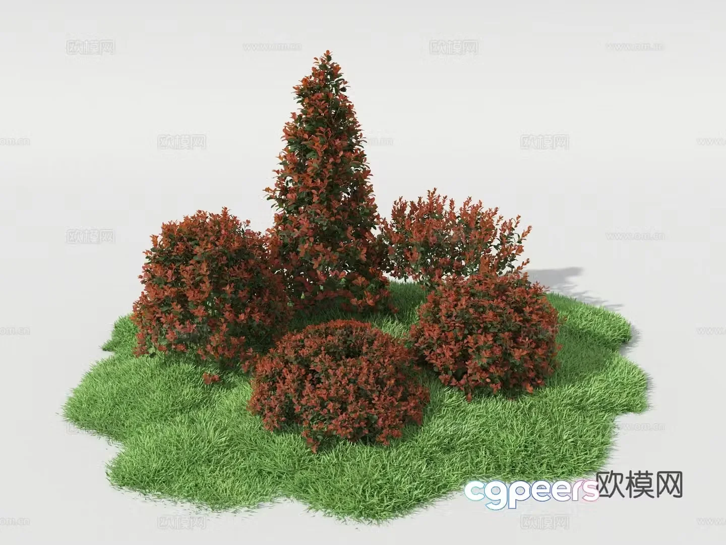 plant pile plant shrub ball shrub 3d model