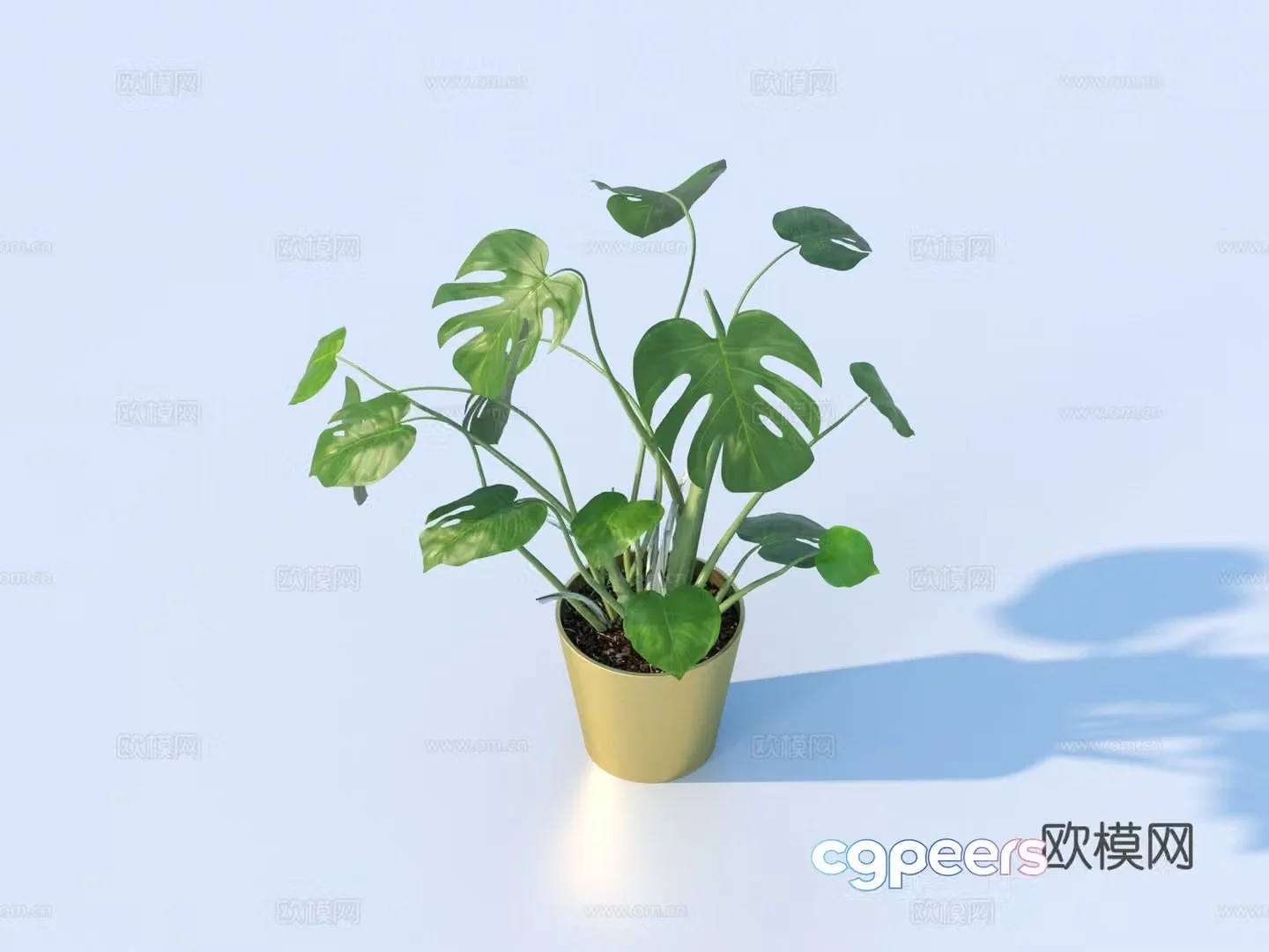 Flower pot pot green plants plant 3d model