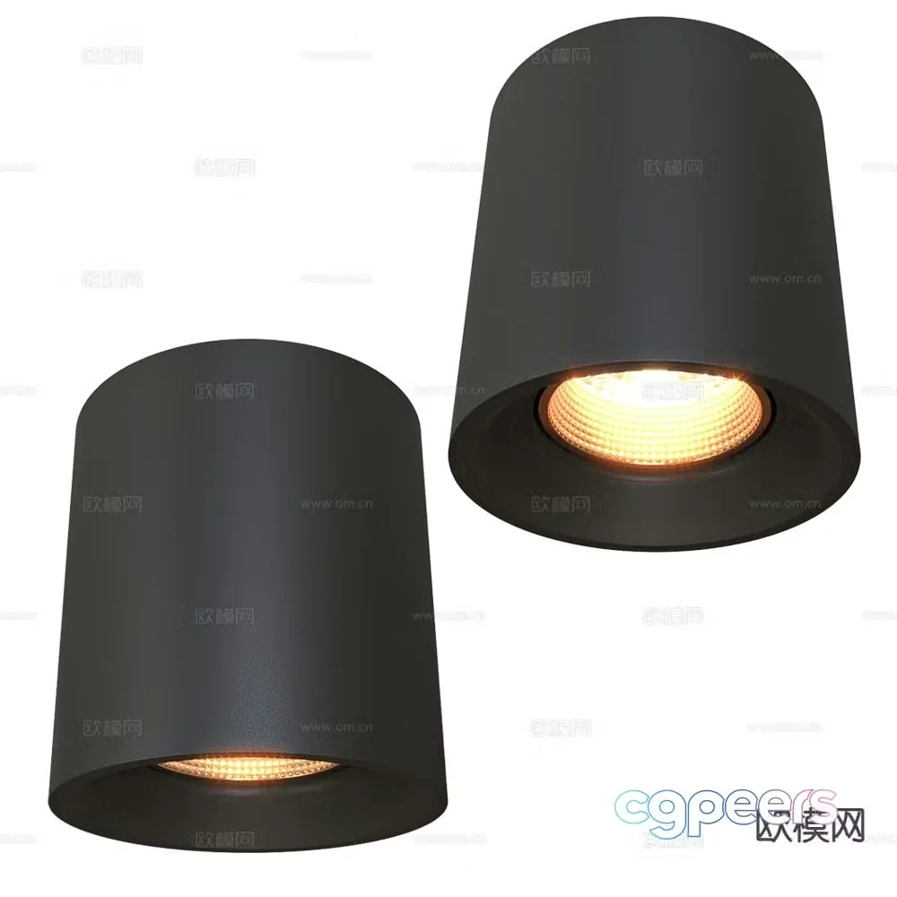 DENKIRS surface mounted downlight spotlight 3d model