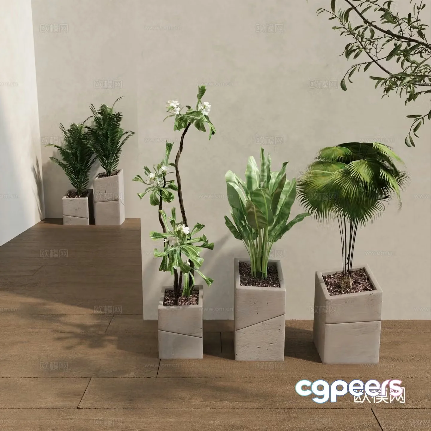 Potted bonsai 3d model