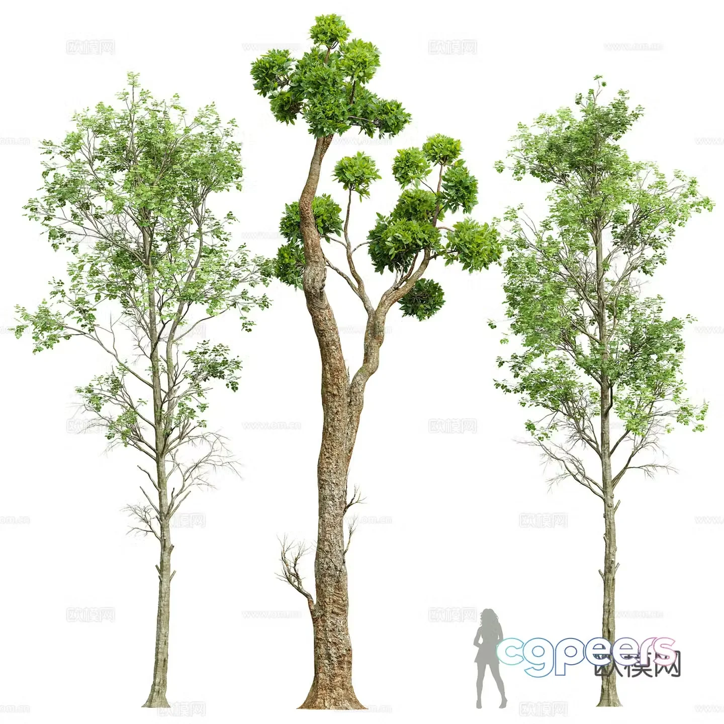 Big tree landscape tree 3d model
