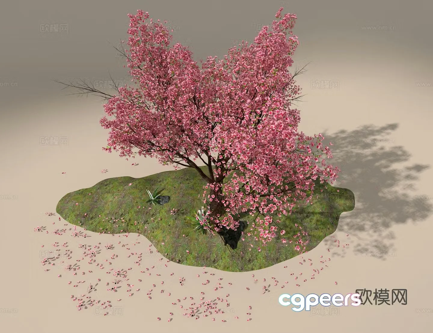 Peach Tree 3D Model