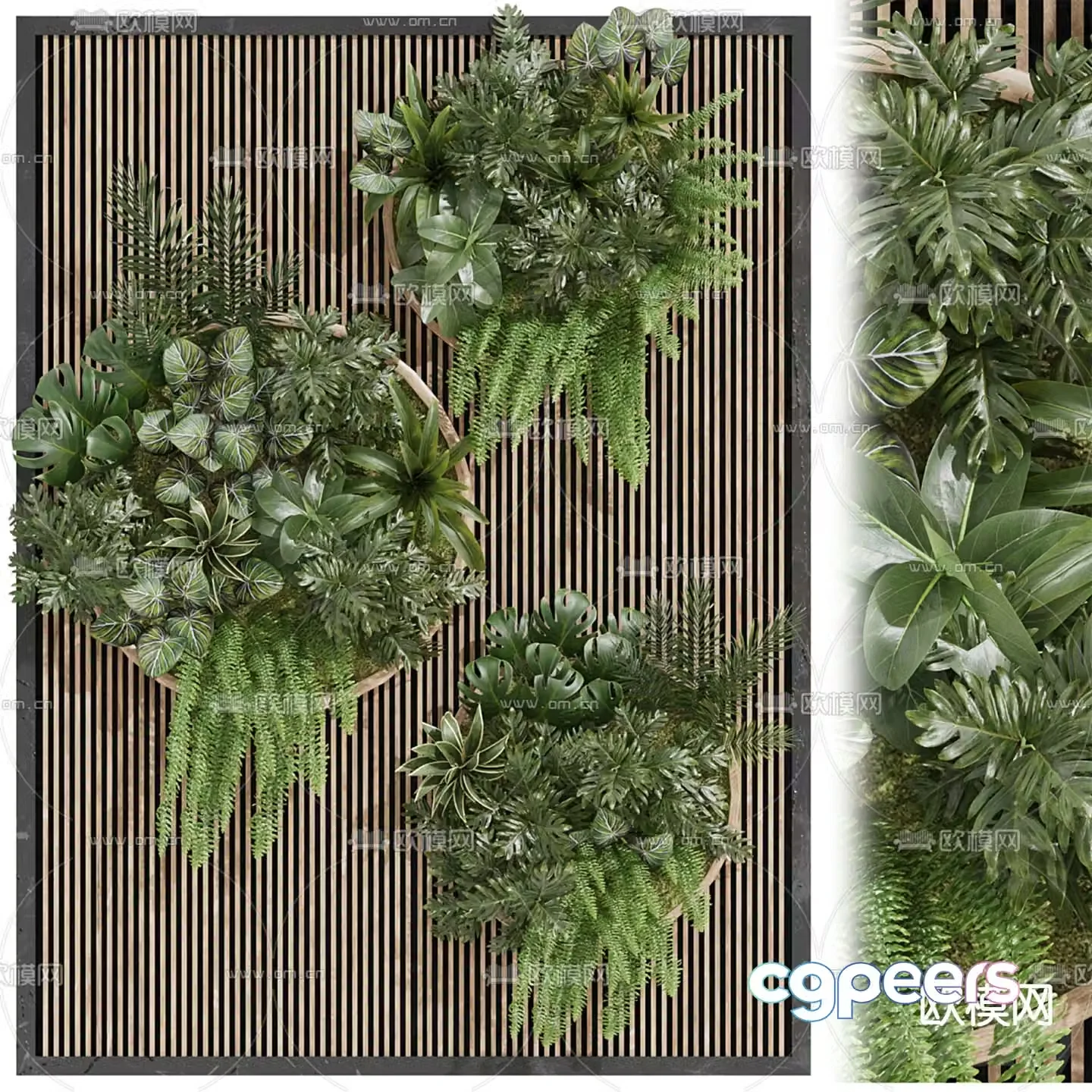 Plant wall green plant wall 3d model