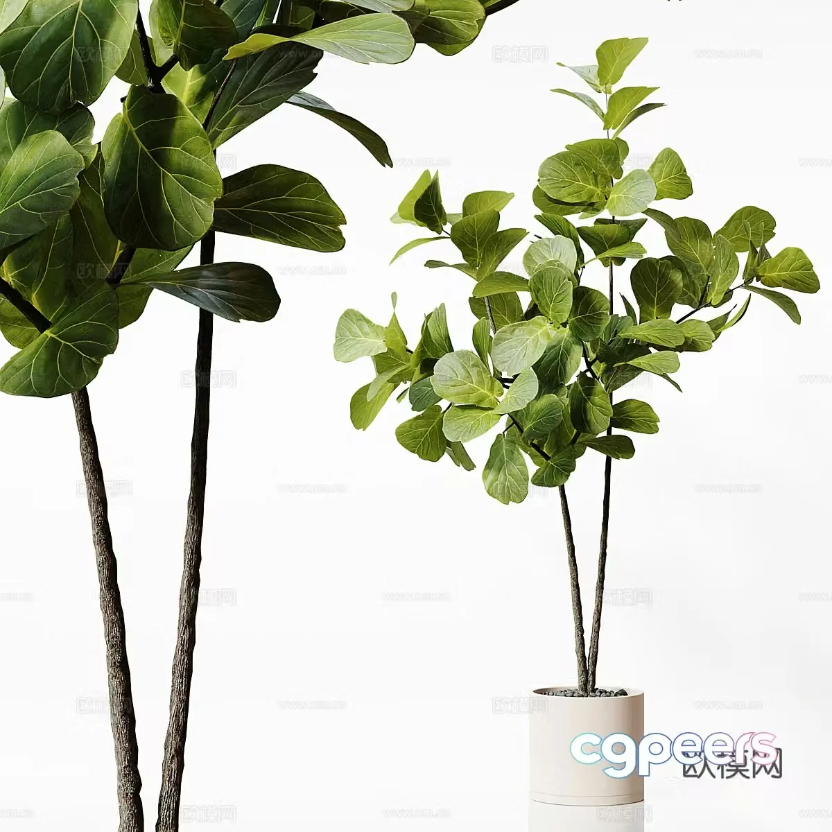 Modern green plant potted 3D model