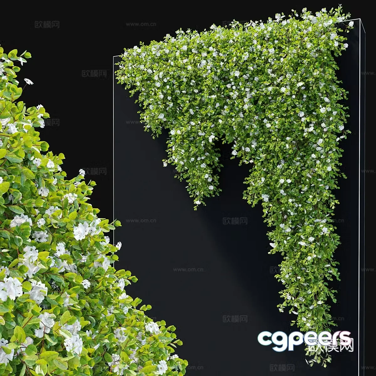 Hanging plant 3d model