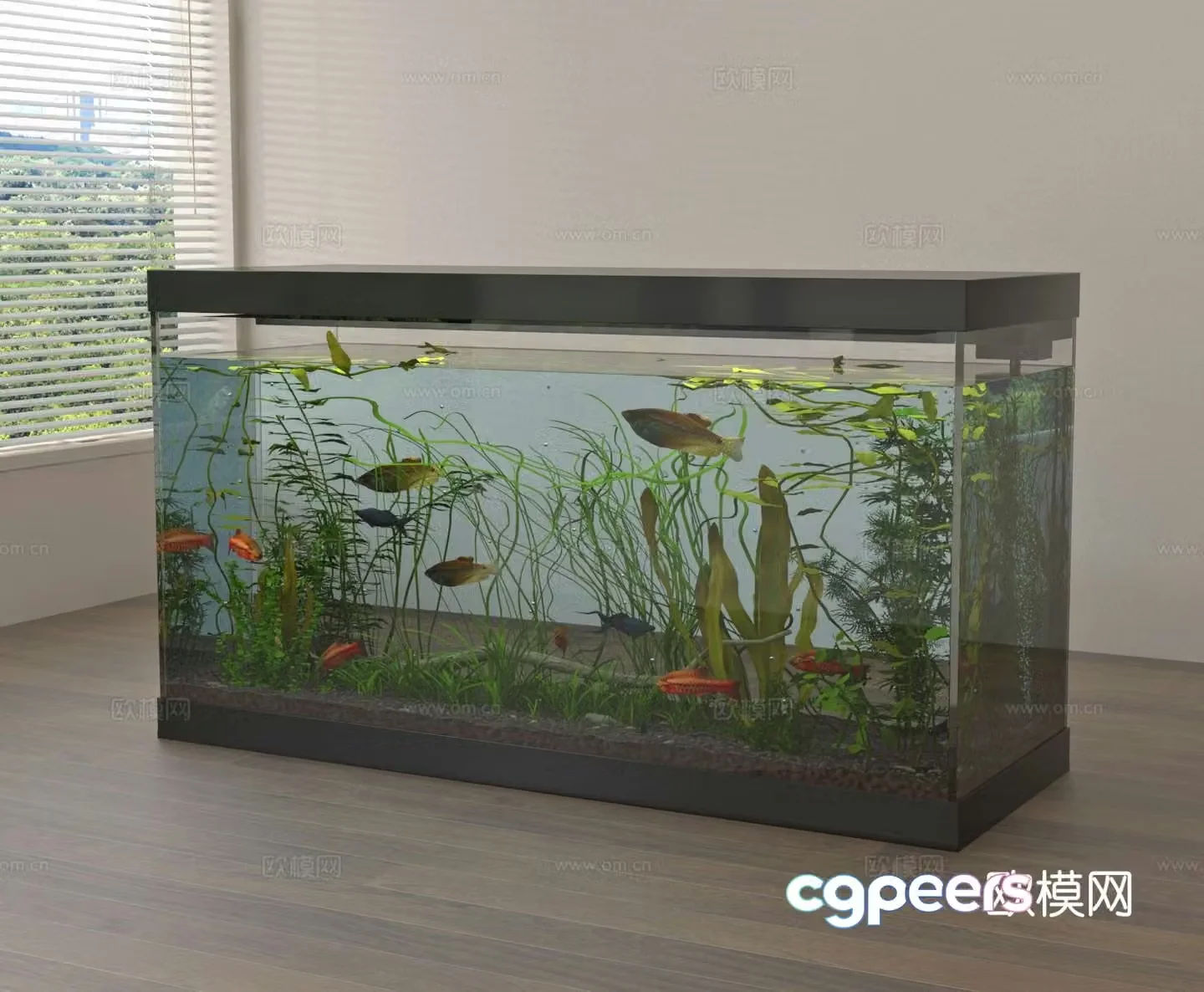 fish tank aquarium ornamental fish 3d model