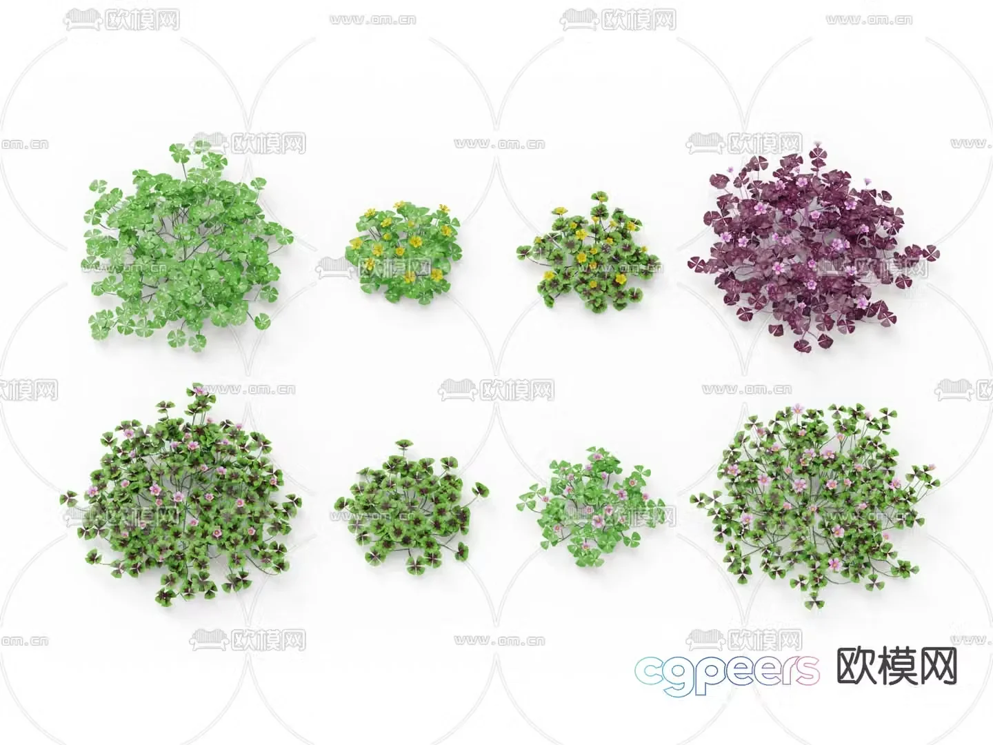 Green plants Flowers and plants 3d model