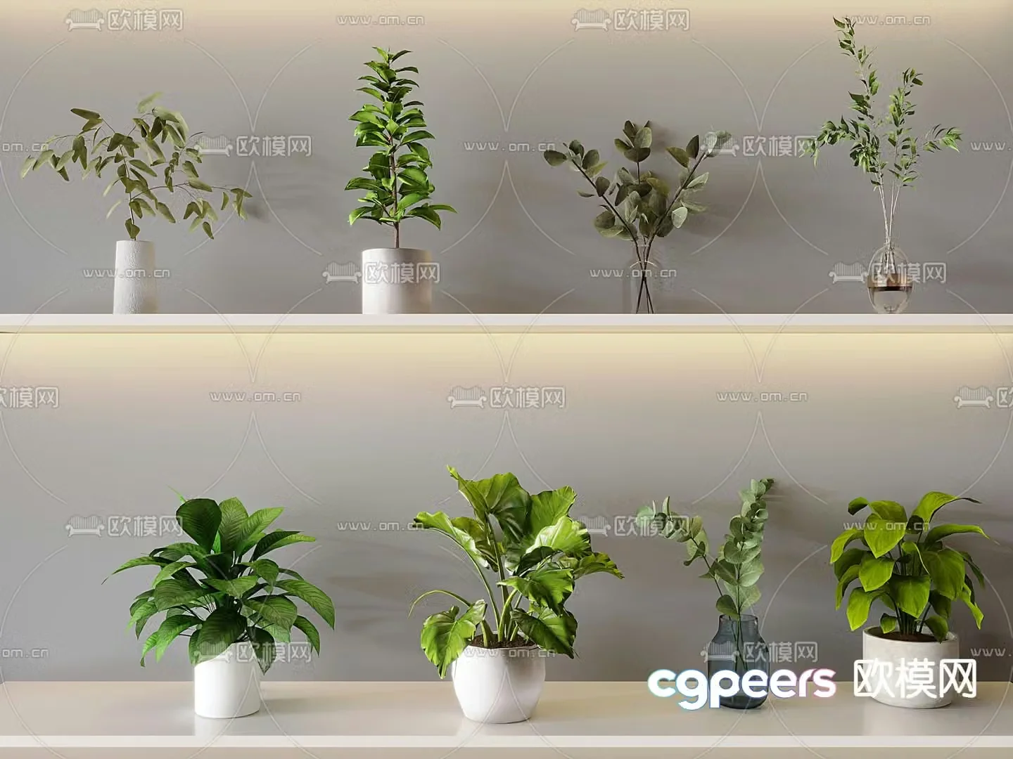 Potted plants Bonsai Aquatic plants 3D model