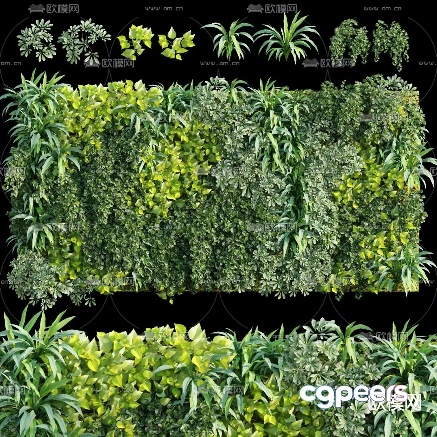 A Green Plant Wall 3D Model – 1274 – VRAY Render