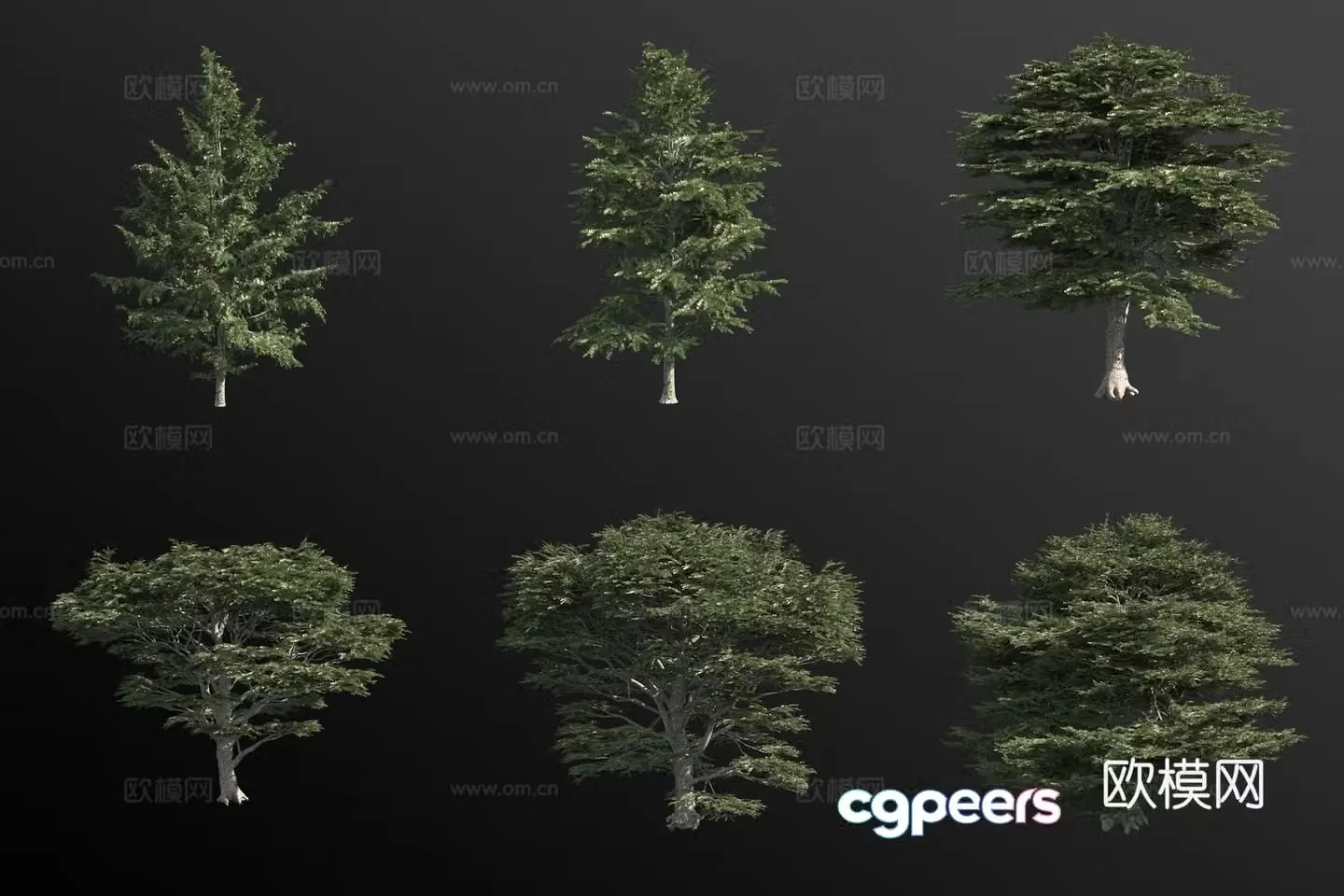 Cedar of Lebanon landscape tree 3d model