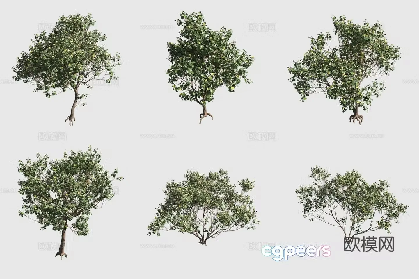 3D model of hibiscus hawaiian plants