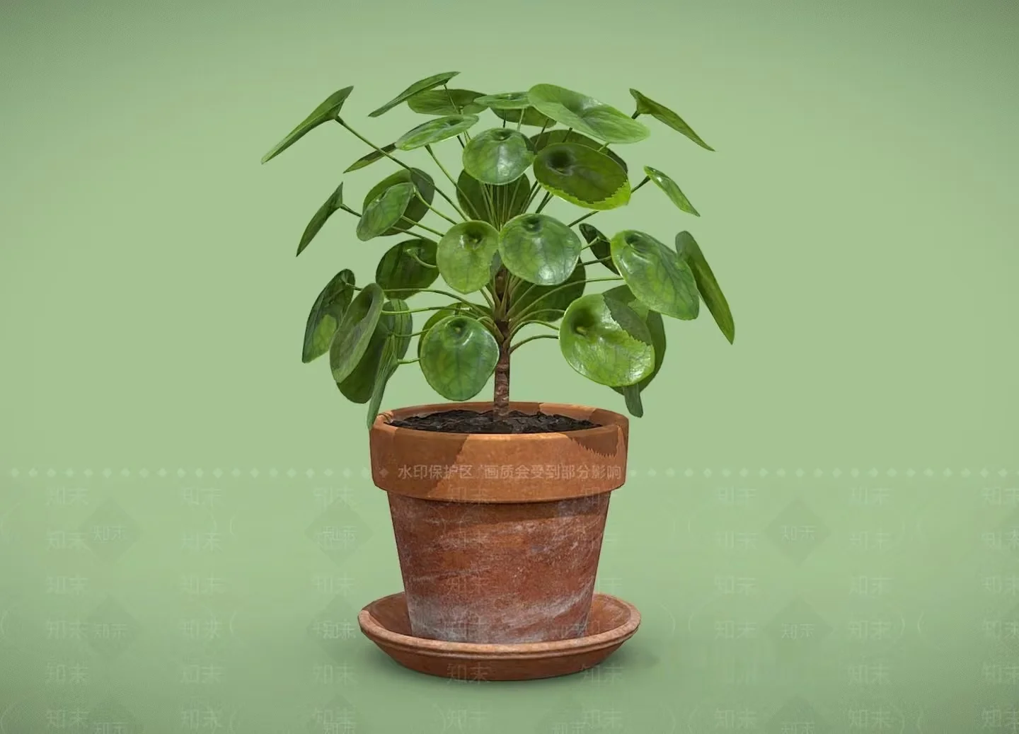 A Potted Plant 3D Model – 1986 – VRAY Render