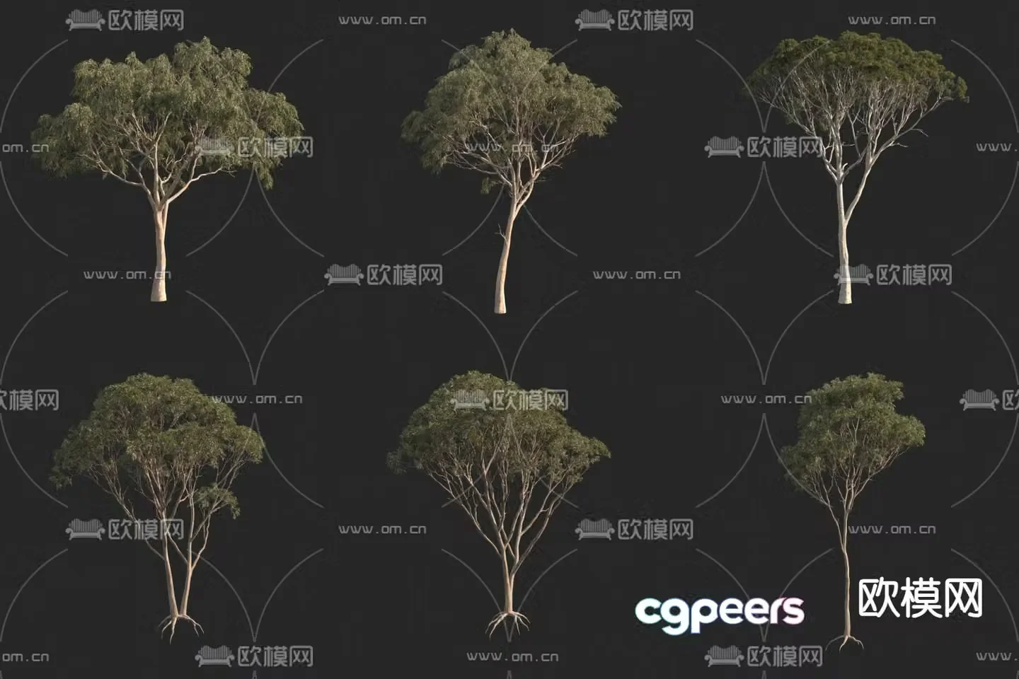 Australian eucalyptus landscape tree big tree 3d model
