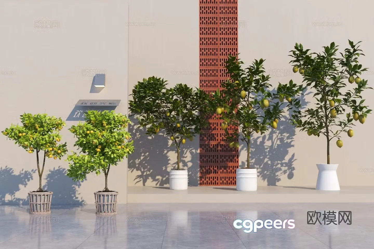 Modern grapefruit tree orange tree lemon tree 3d model