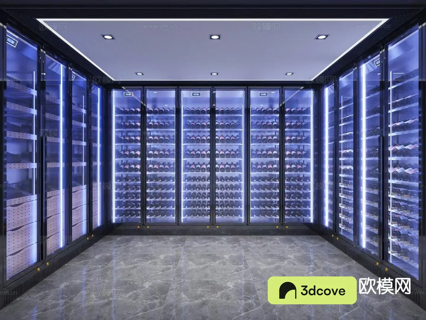 Modern red wine cellar cold room