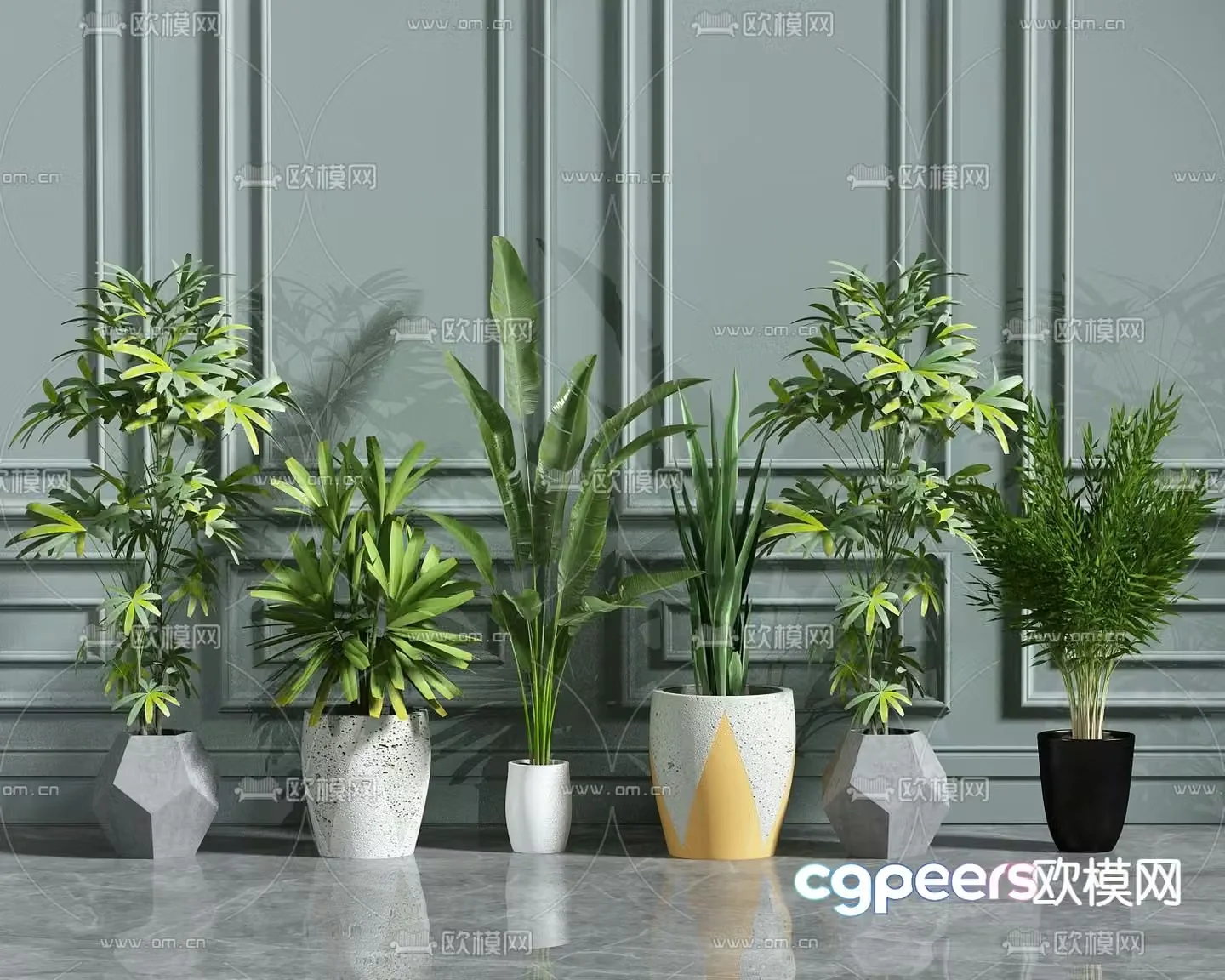 potted bonsai green plant 3d model