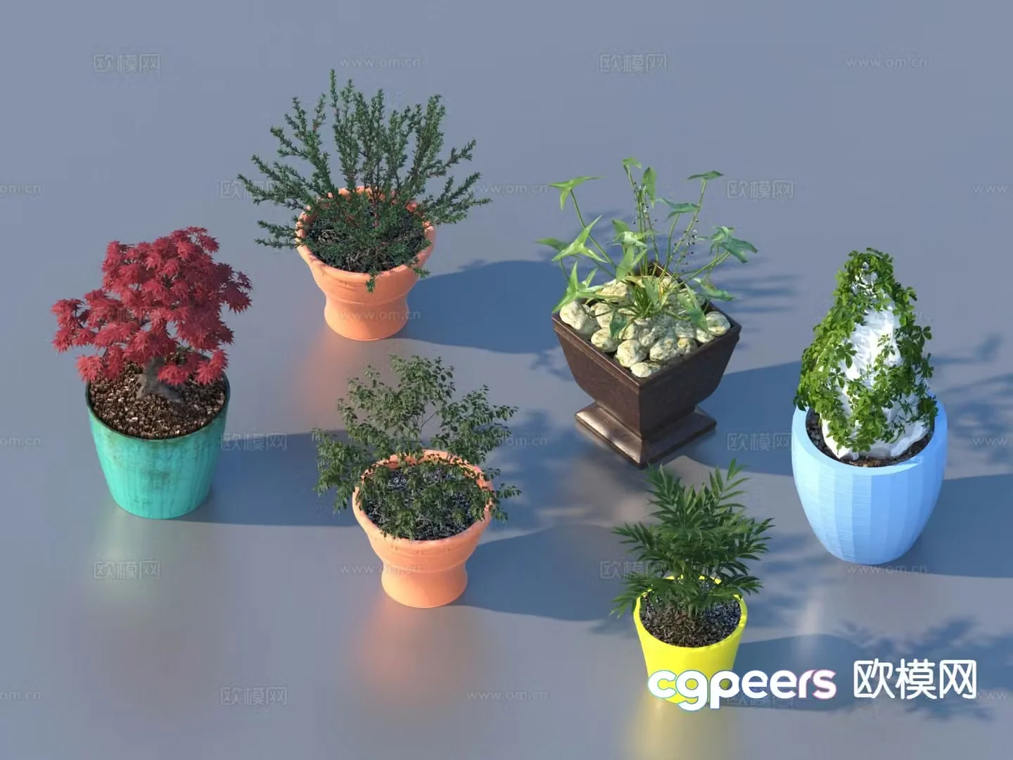 flower pot bonsai green plant plant 3d model
