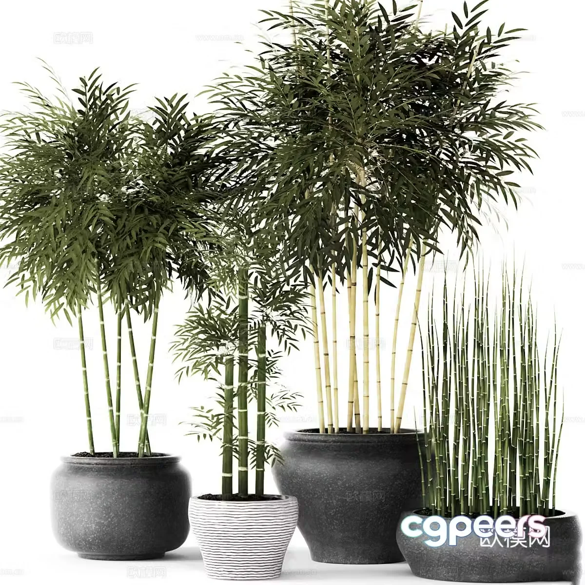 New Chinese style bamboo potted plant 3D model