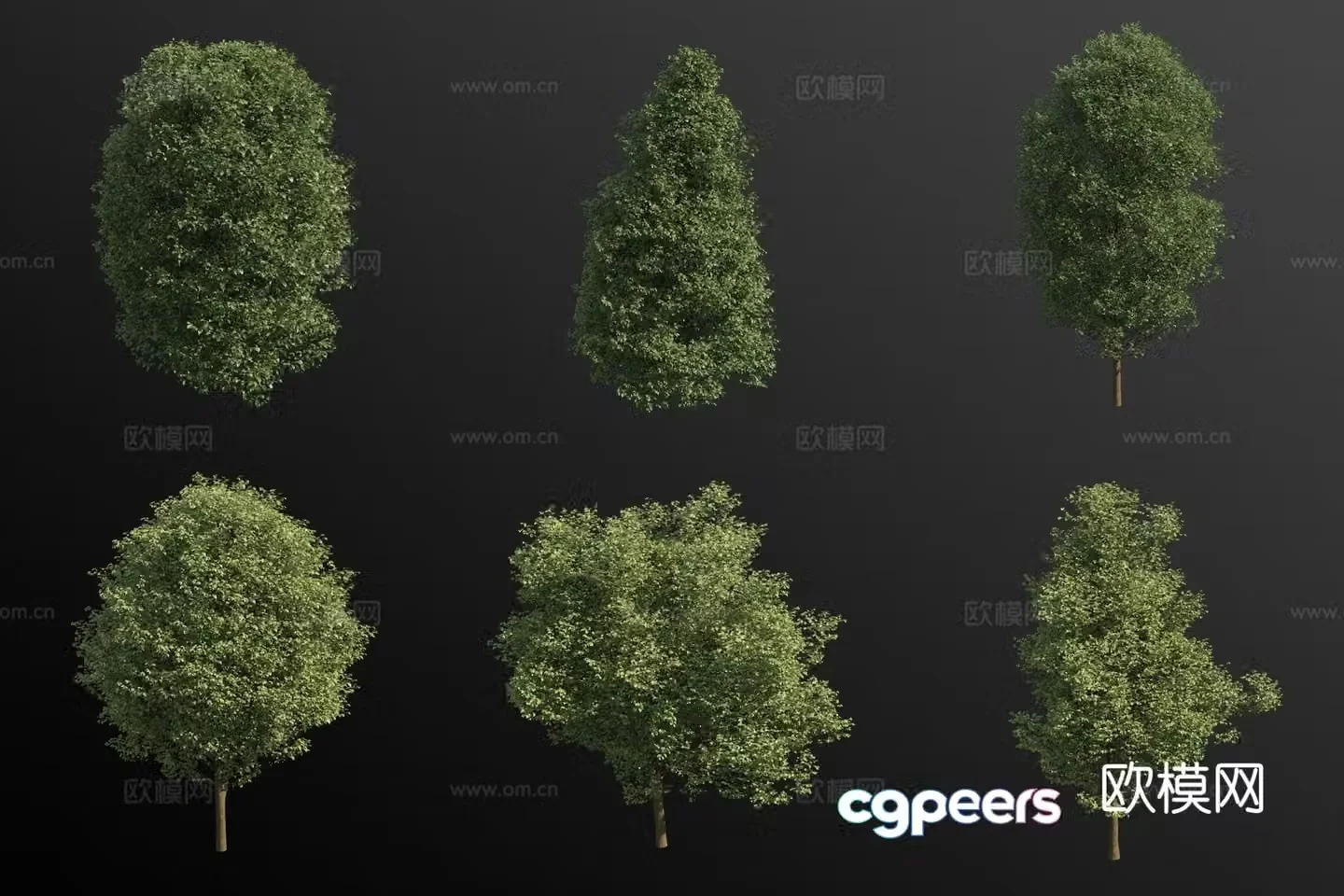 Birch leaf hornbeam shrub 3d model