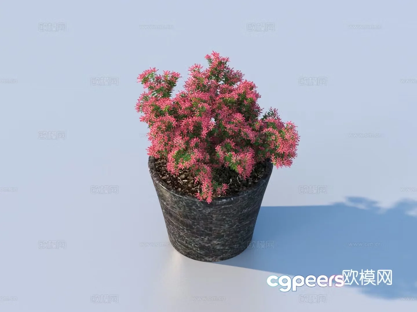flowerpot potted plant green plant plant 3d model