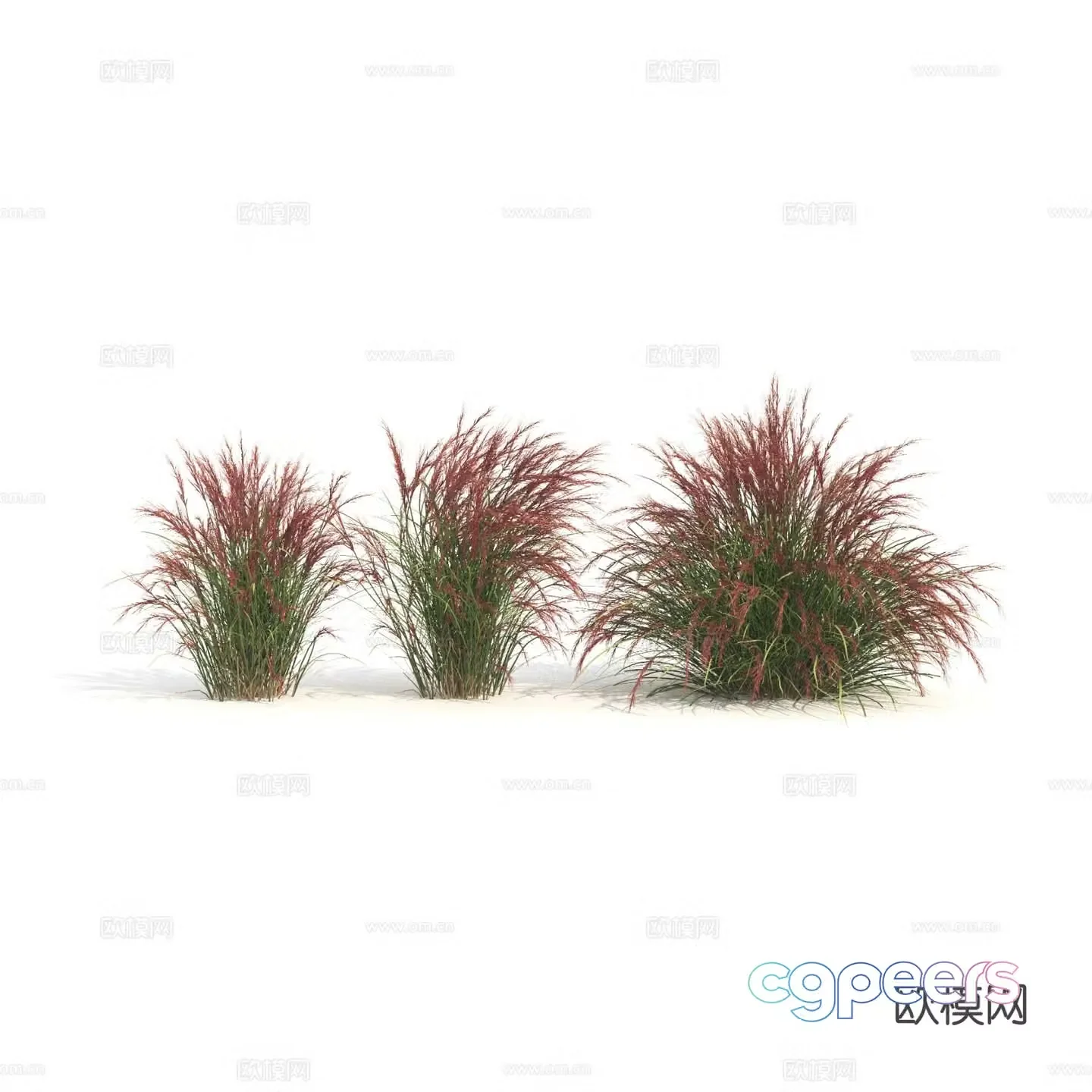 Plants Green Plants Shrubs Flowers Thatch 3d model