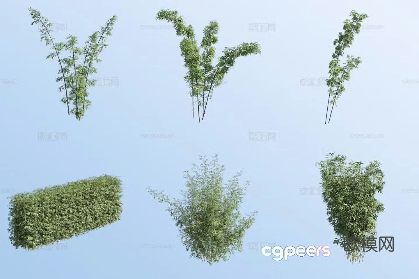 East Timor black bamboo 3d model