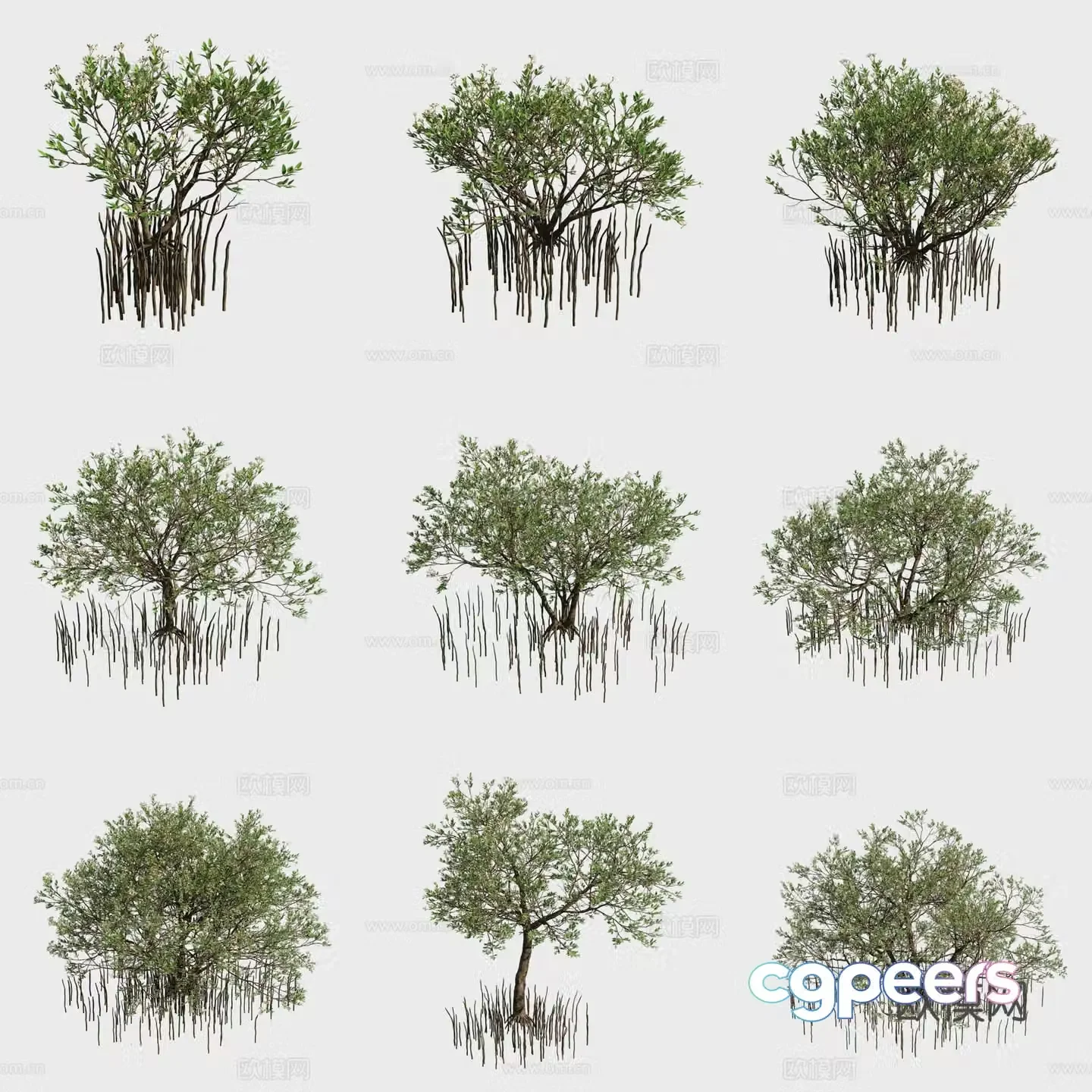 Black-skinned mangrove plant 3d model