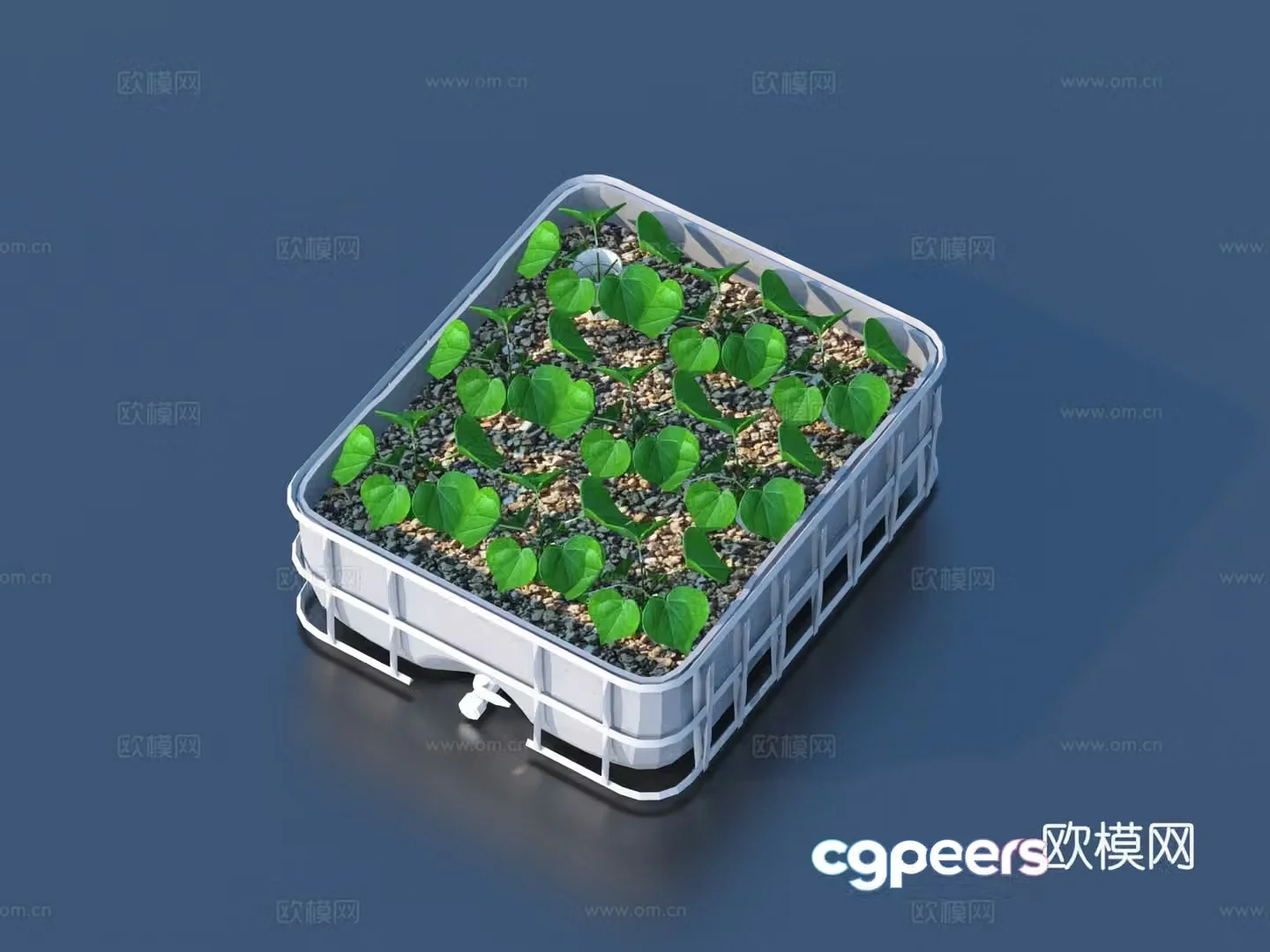Vegetables potted plants houseplants green plants 3D model