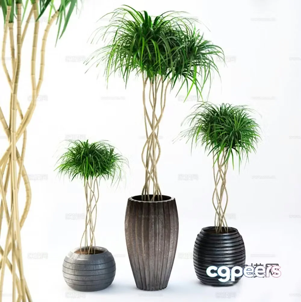 plant potted flowerpot 3d model