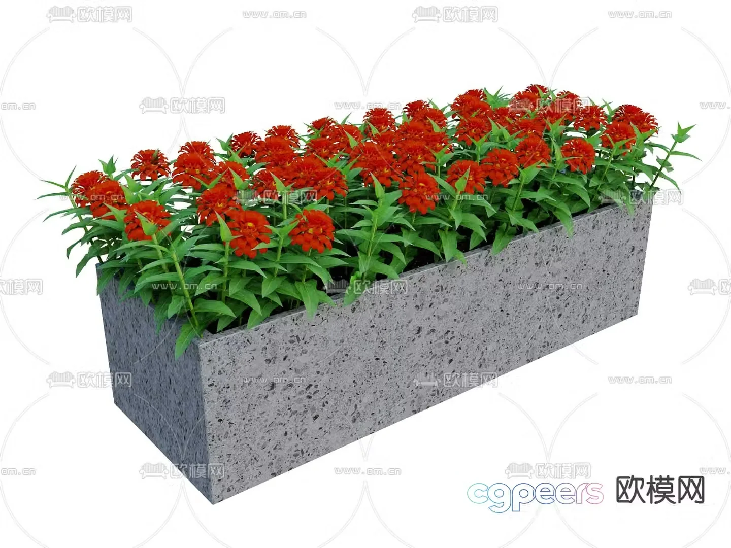 Zinnia Plant Garden Plant Flowerbed 3D Model